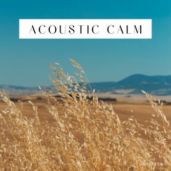 Acoustic Calm playlist spotify acoustic calm musique acoustique